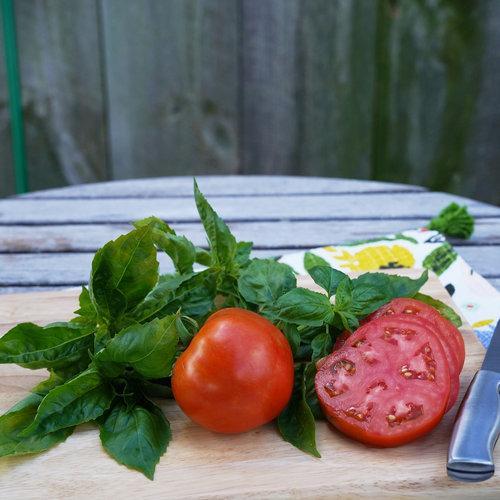 Garden Treasure Tomatoes