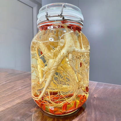 Precious Ginseng Seeds  Herbaceous Perennial