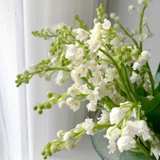 💐Lily of the Valley—Happiness Arrives