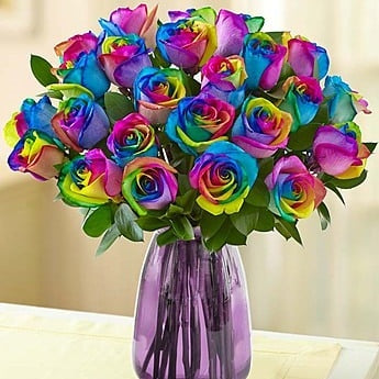 Rainbow Rose Seeds