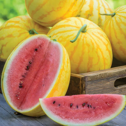 Watermelon, Red in Gold Hybrid, Golden Watermelons