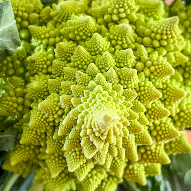 Roman Pagoda Cauliflower Seeds