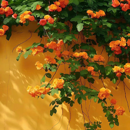 100pcs/Bag Climbing Rose Seeds