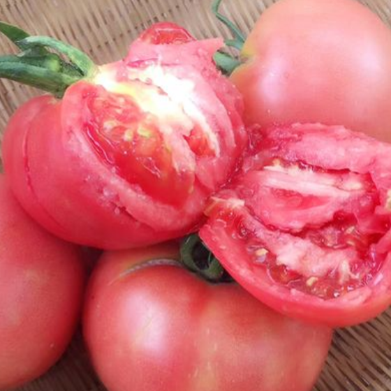 100 pcs|Hair Pink Tomato Seeds