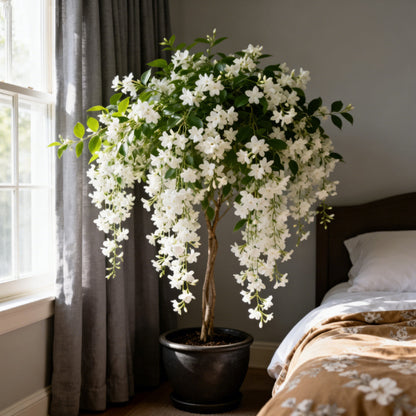 For 50 Non-GMO Climbing Silver Jasmine Seeds - Aromatic Evergreen, Ideal Decor Choice for Garden & Balcony Fragrant