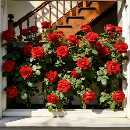 200 Pcs Rare Rose Flower Seeds, Suitable for Small Gardens, Patios, Balconies & Indoor Cultivation, Top Choice for Horticulture