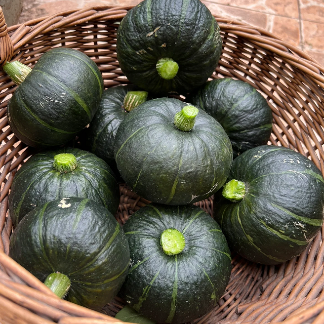 Beibei Pumpkin Seeds