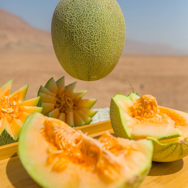 Reticulated Cantaloupe Seeds