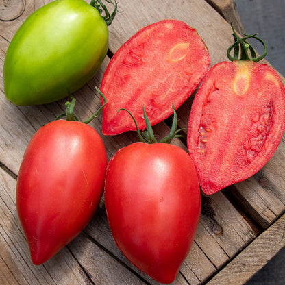 Mango Honey Tomato Seeds