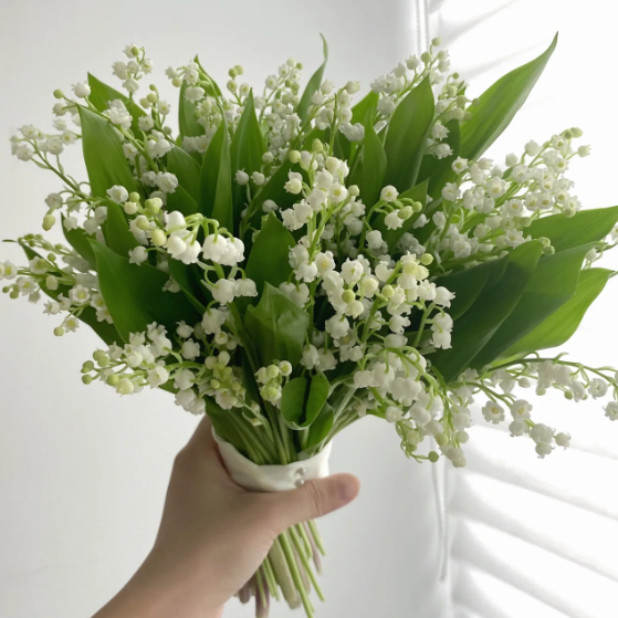 💐Lily of the Valley—Happiness Arrives