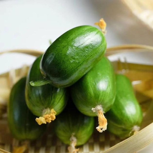 Thumb Cucumber-Golden Boy Lady Cucumber