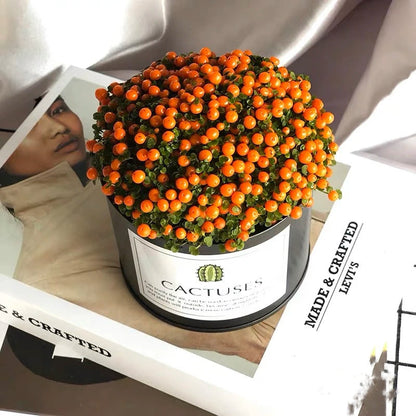 Pearl Orange Succulent Potted Plant