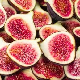 Fig Tree Seeds (Ficus carica), Sweet Fruit Shrub