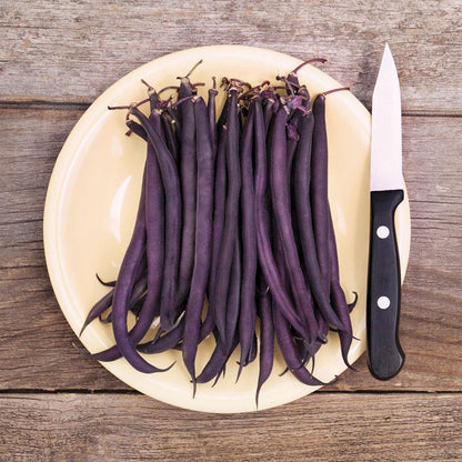 🫘Bean Amethyst