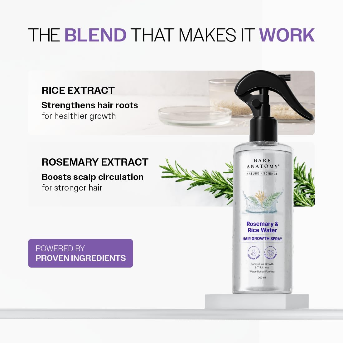 Rosemary Water Spray for Hair Growth & Hair Thickness with Rice Water |100% Natural Extract | Soft & Smooth Hair| Controls Hairfall| Non-Greasy & Fast Absorbing | 200ml