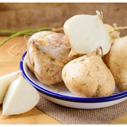 Jicama Pachyrhizus Erosus Seeds