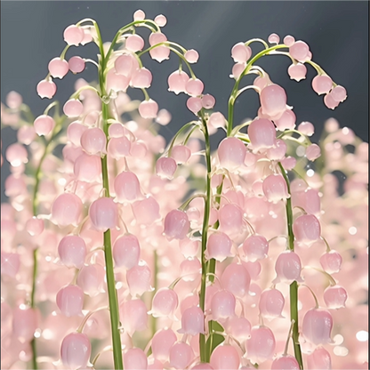 Pink Lily Of The Valley Seeds