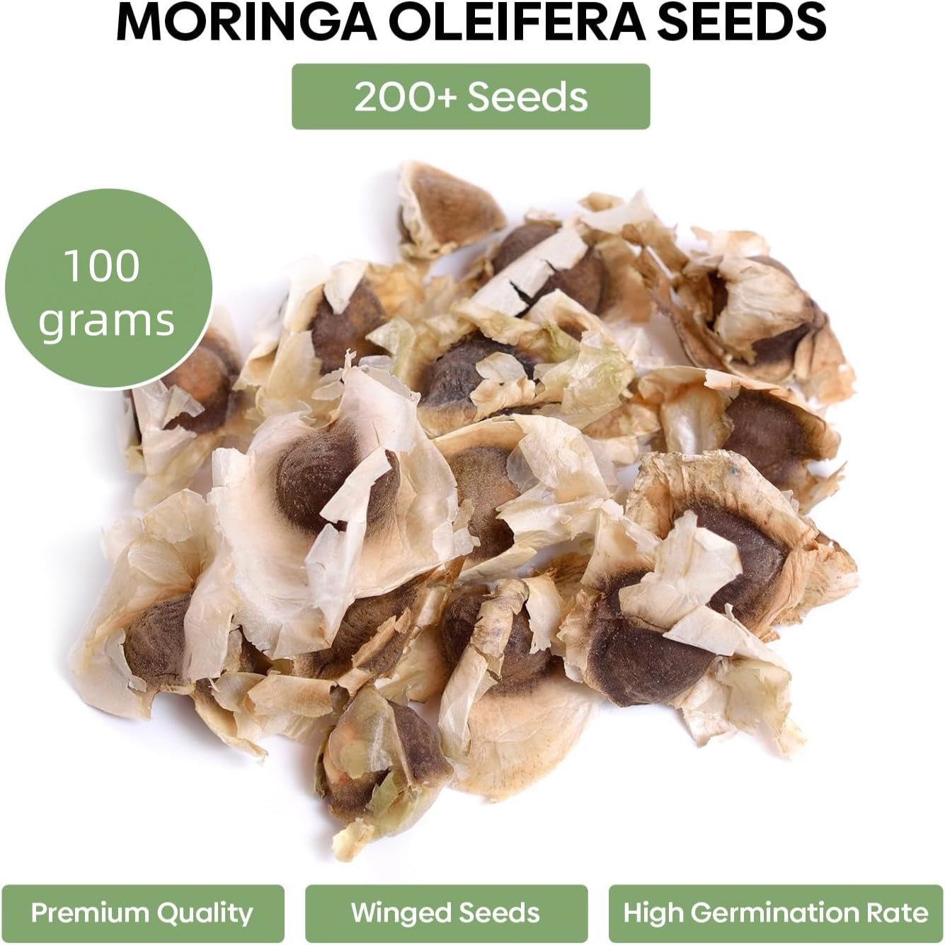 Moringa Seeds for Planting | Edible, Excellent Germination | Semillas de Moringaa Seed for Eating | Malunggay