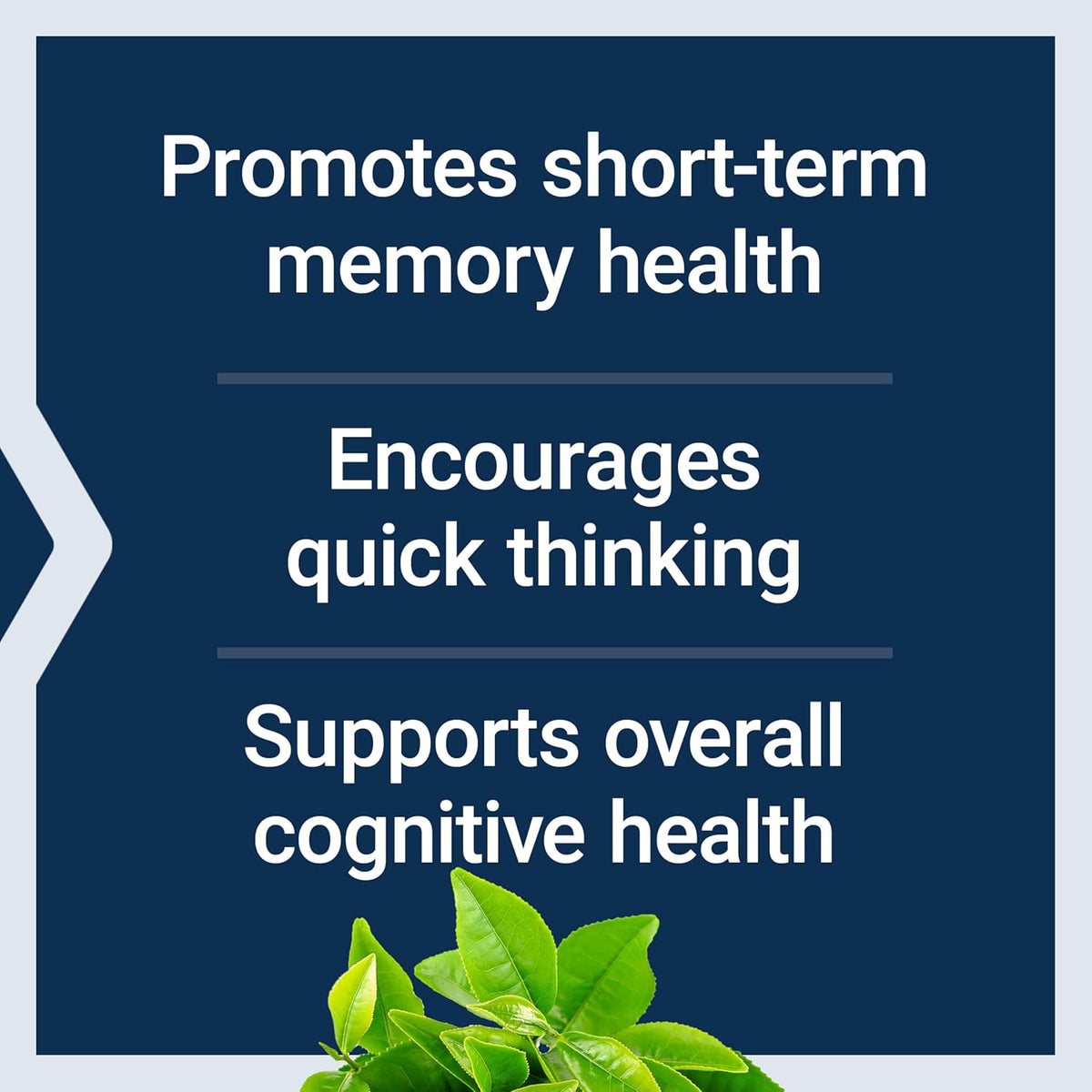 Neuro-Mag Magnesium L-Threonate, Memory Health, Quick Thinking, Cognitive Health Support, Vegetarian, Non-GMO, 90 Vegetarian Capsules (144 mg from 2000 mg Magtein magnesium L-threonate