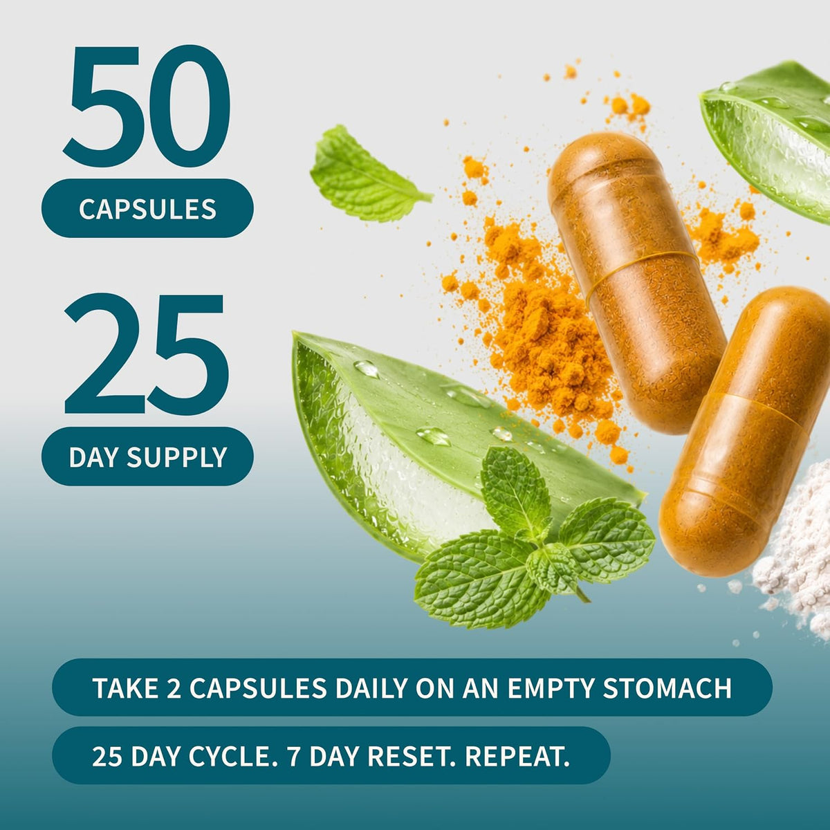 Supplements Gut Health Lipase Supplement, Probiotic, 60 Vegan Capsules | Digestive Enzymes & Gut Health Support