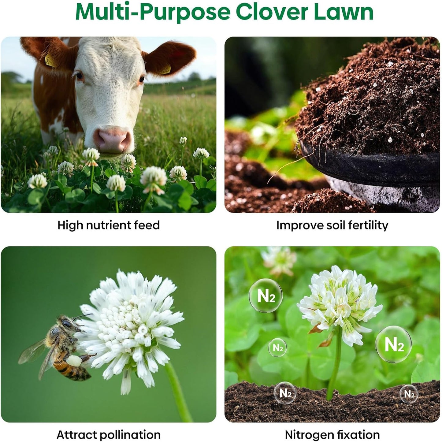 Nitrocoated, Inoculated Clover Seeds, Erosion Control, Food Plots, Ground Cover, & Pasture Mixtures in USDA Zones 3-10
