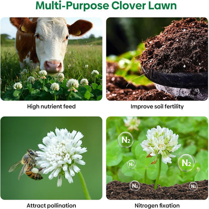Nitrocoated, Inoculated Clover Seeds, Erosion Control, Food Plots, Ground Cover, & Pasture Mixtures in USDA Zones 3-10