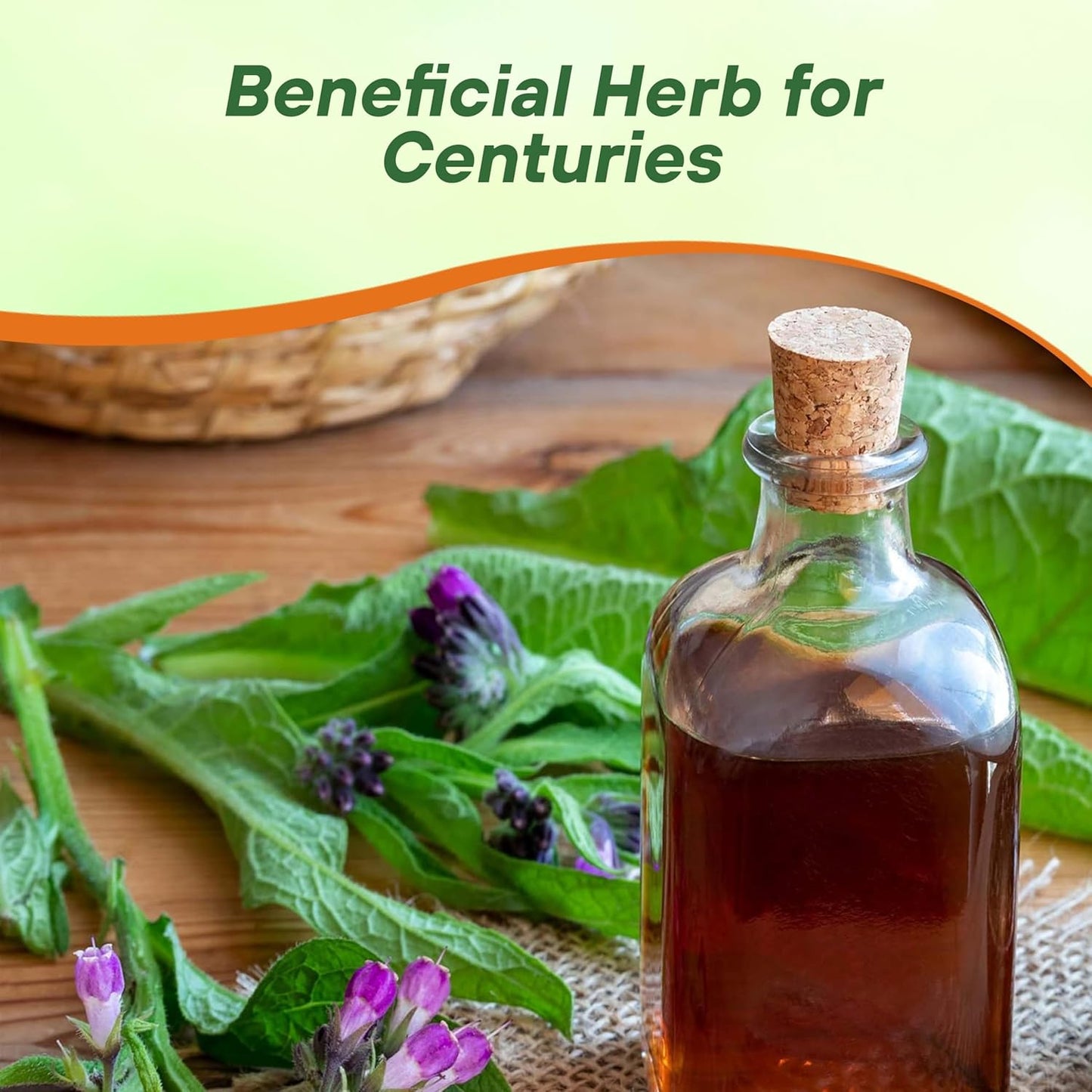 Comfrey Herb| Non-GMO Heirloom Packet | Roots & Leaves for Home Remedies - Medicinal Salve, Oil, Tea