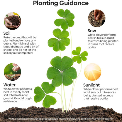Nitrocoated, Inoculated Clover Seeds, Erosion Control, Food Plots, Ground Cover, & Pasture Mixtures in USDA Zones 3-10