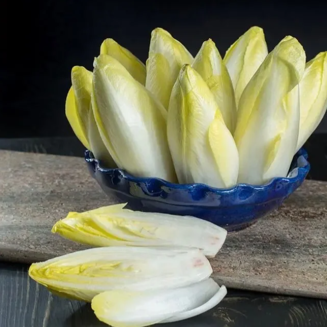 Golden Magnolia Seeds—The “Prince” of European Vegetables