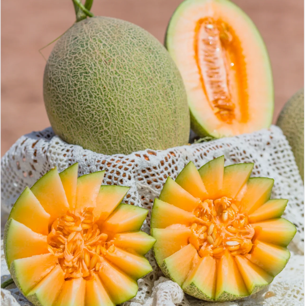 Reticulated Cantaloupe Seeds