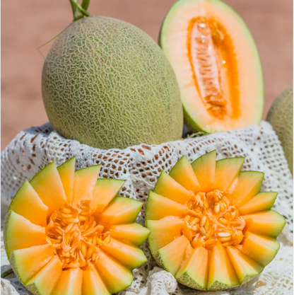Reticulated Cantaloupe Seeds