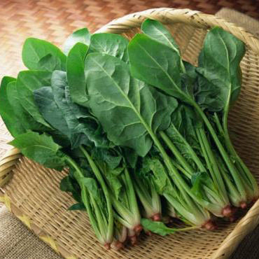 Spinach In The Snow Seeds