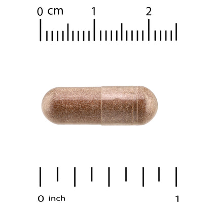 Quality of Life, Kinoko® Platinum AHCC®, 60 Vegicaps