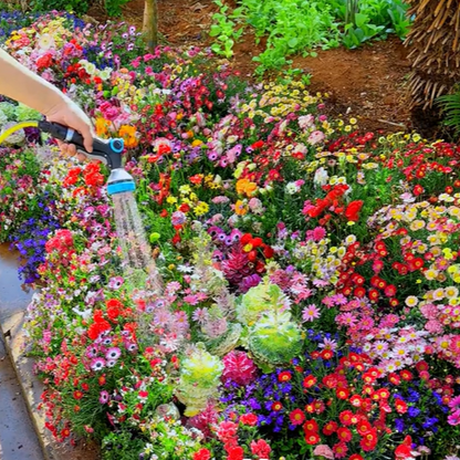 Mixed Perennial Flowers Seeds-Over 60 kinds mixed