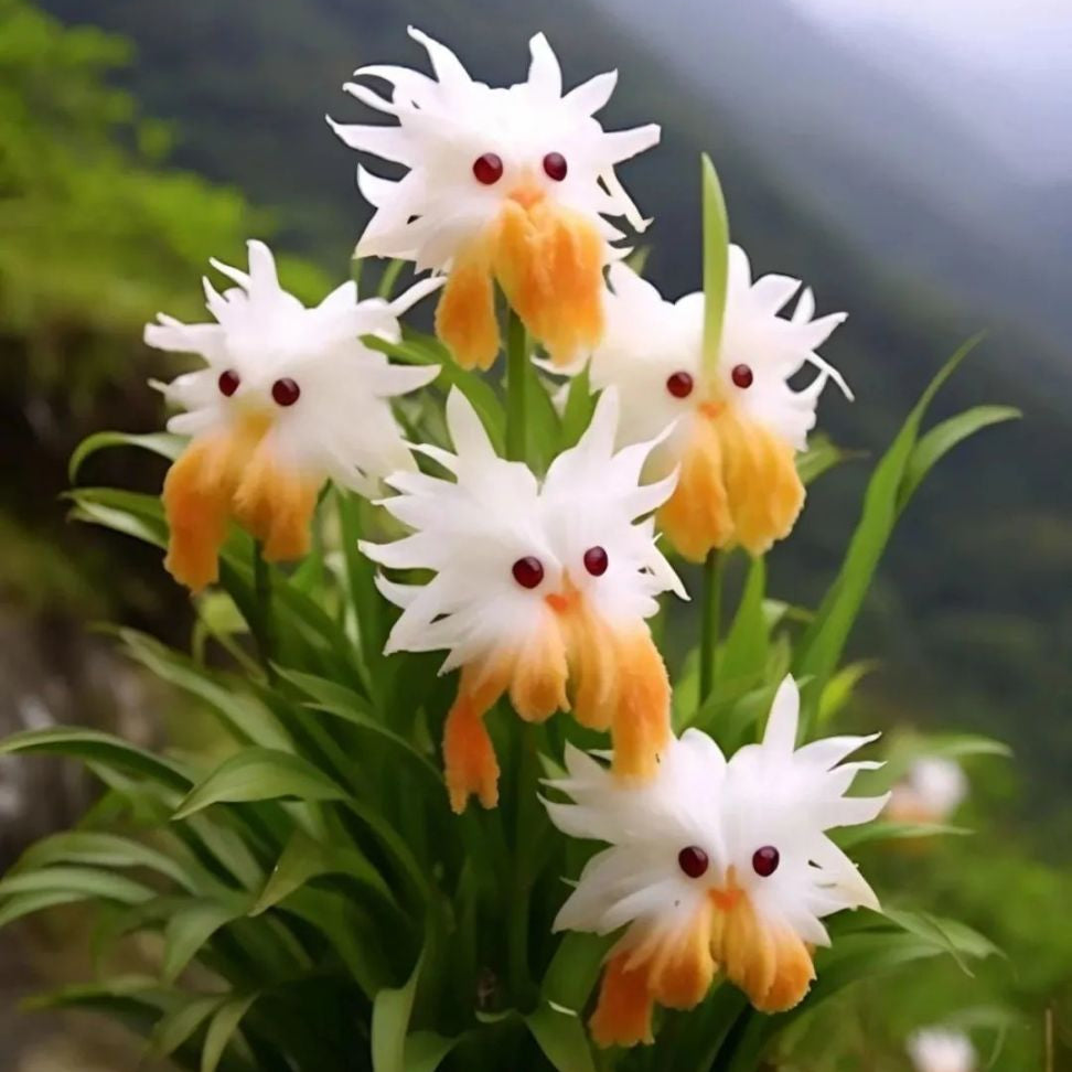 Amazing plants! Cat's eye dazzle
