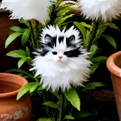 Cat's Eye Dazzle Colorful flowers