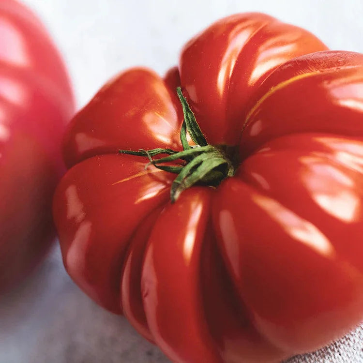 🎊Vegetable Steak🥩-Giant Beef Tomato Seeds🍅