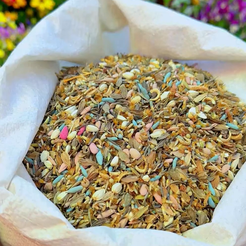 Mixed Perennial Flowers Seeds-Over 60 kinds mixed