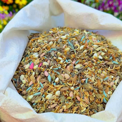 Mixed Perennial Flowers Seeds-Over 60 kinds mixed