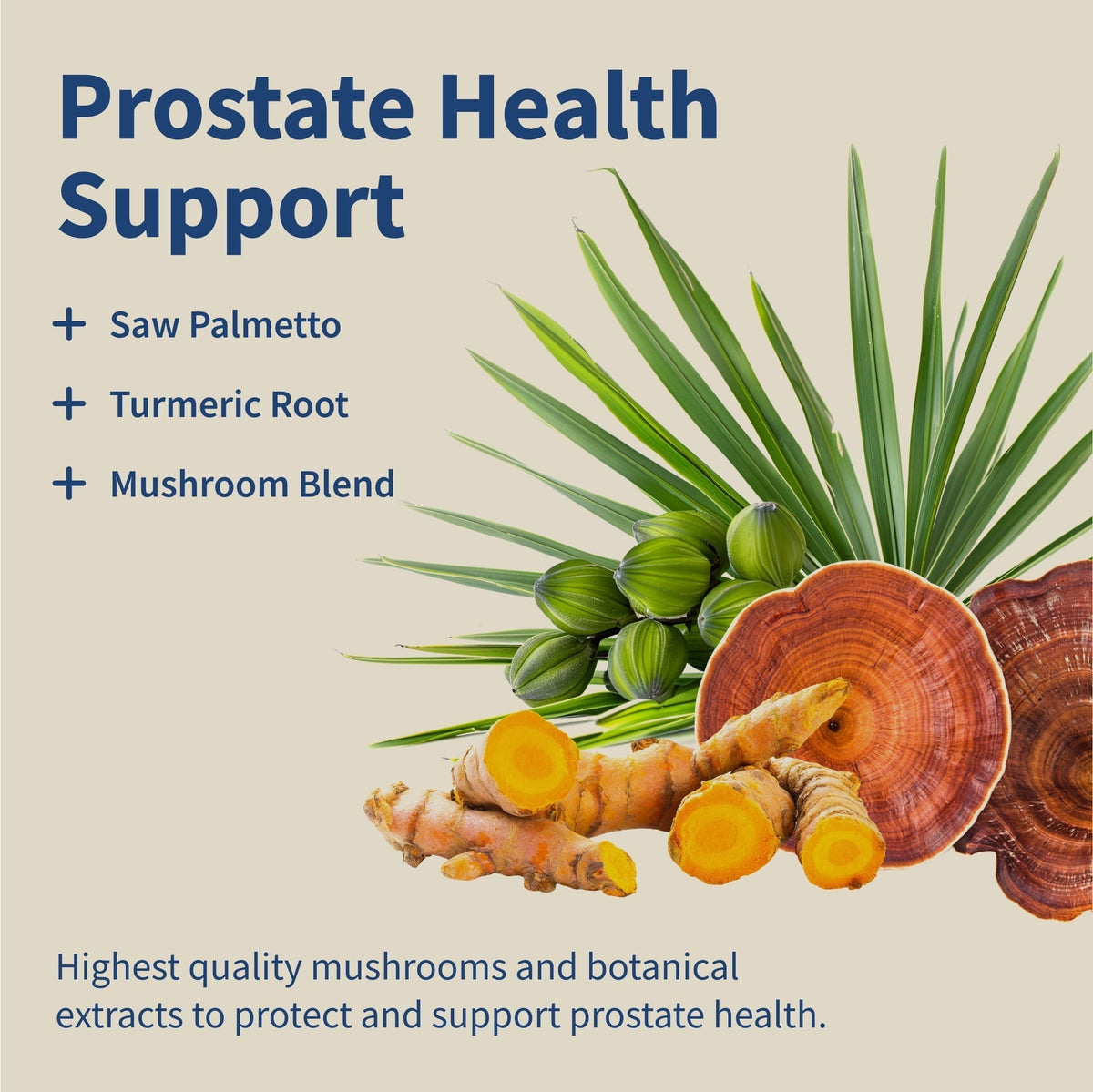Supplements Extra Strength Prostate & Bladder Health Support, Dietary Supplements