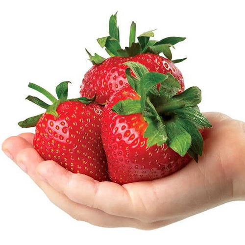 Whopper Strawberry