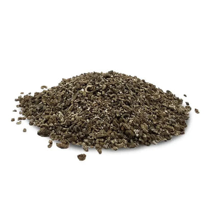 Wildflower Seeds, Sunny Meadow Flower Mix