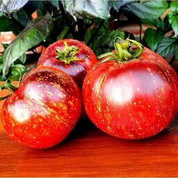 Dark Galaxy Tomato 50 Seeds