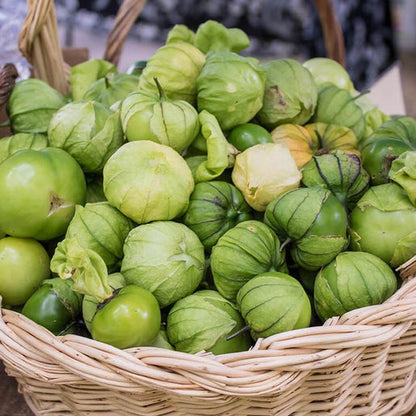 Super Verde Tomatillo Seeds