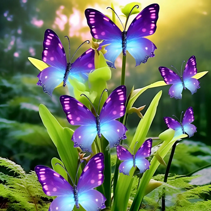 Color Butterfly Flower Seeds