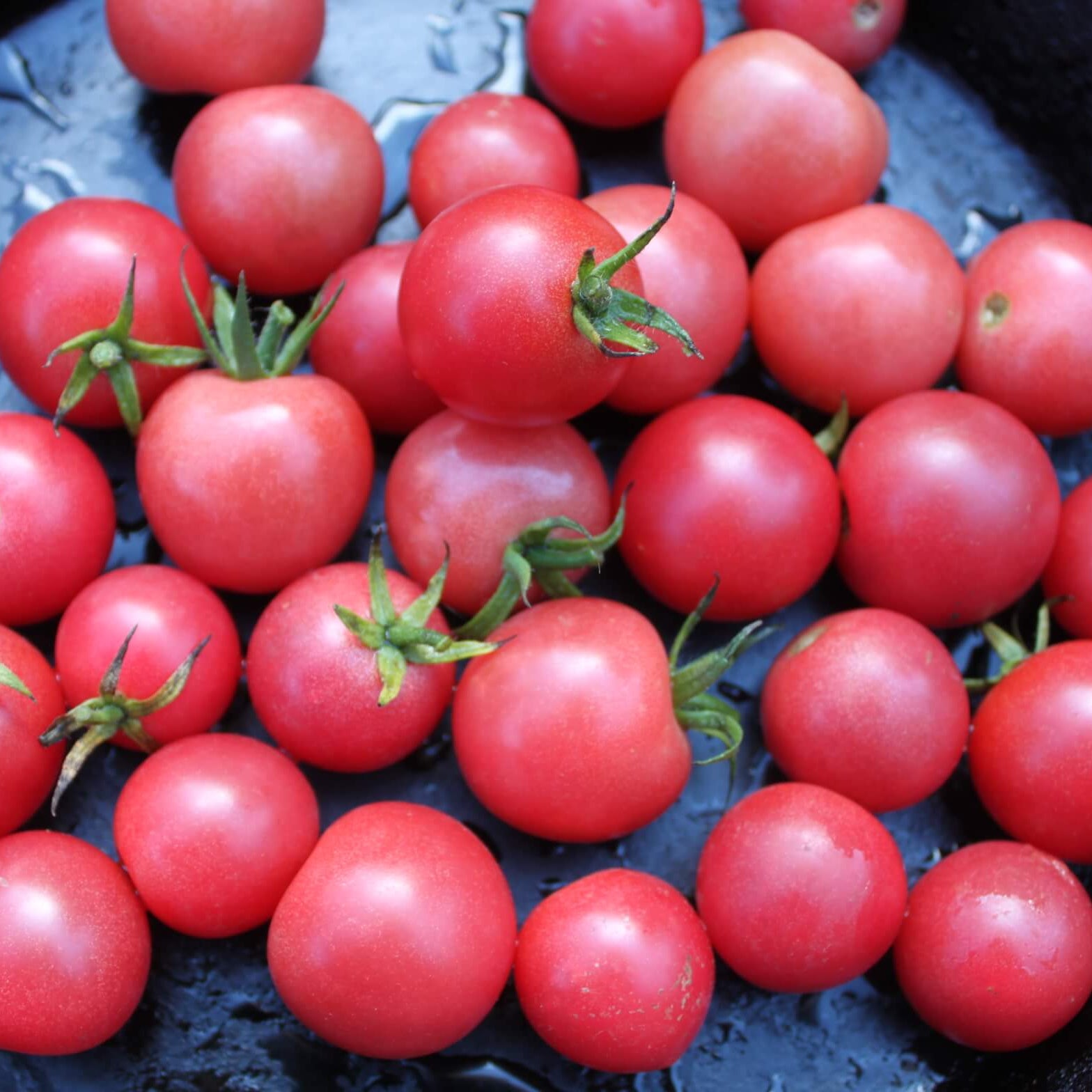Tomato Cherry Pink Grape
