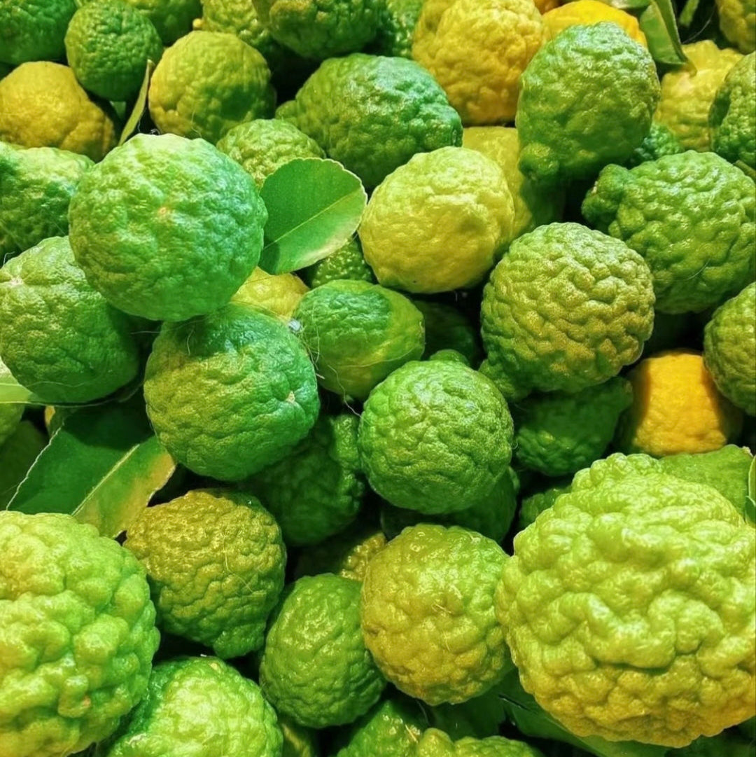 High Survival Rate Lemon Tree Seeds