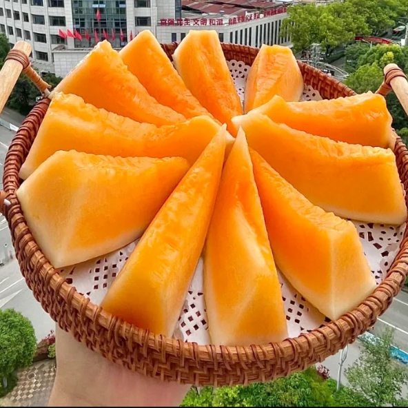 Reticulated Cantaloupe Seeds