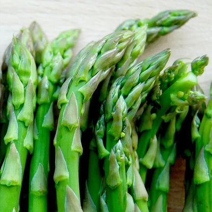🌿King of Vegetables - Asparagus Mary Washington