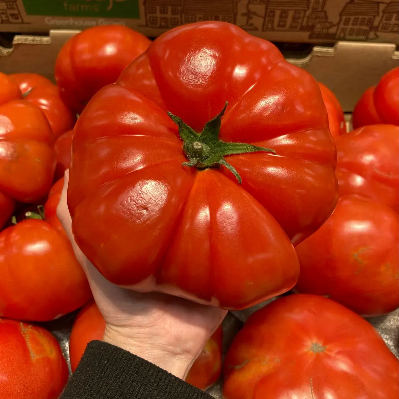 🎊Vegetable Steak🥩-Giant Beef Tomato Seeds🍅